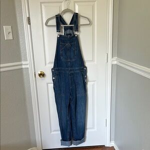 GAP Blue Denim Overalls